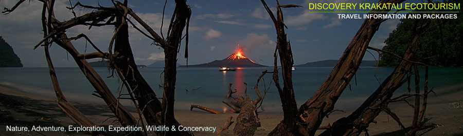 KRAKATAU ECOTOURISM TOUR, Krakatoa volcano tour, UJUNG KULON WILDLIFE adventure tour, krakatau tourism, krakatau adventure tour, krakatau camping tour, krakatau ujung kulon tour, krakatau