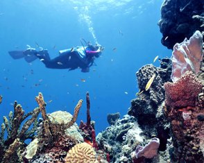 krakatau dive tour