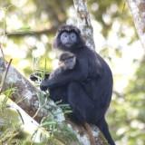 krakatau ecotourism tour