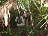 ujung kulon trekking